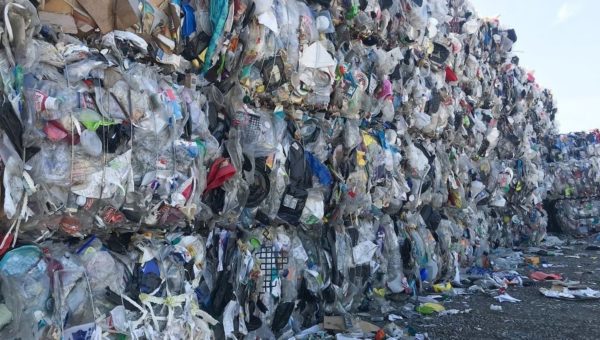 Recycling is broken. How can we fix it?