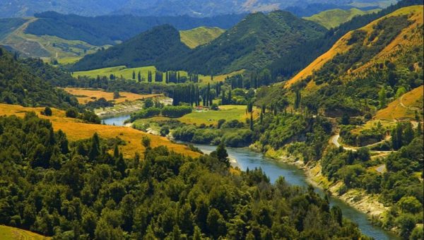 When a river is has personhood: from Ecuador to New Zealand