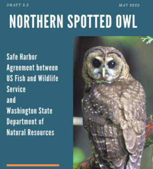 Development of a Safe Harbor Agreement for the Northern Spotted Owl